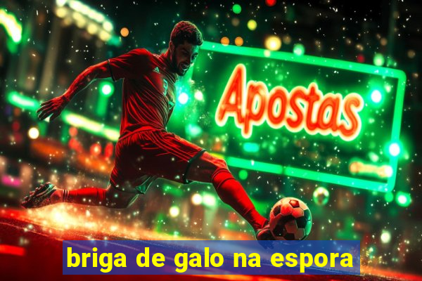 briga de galo na espora